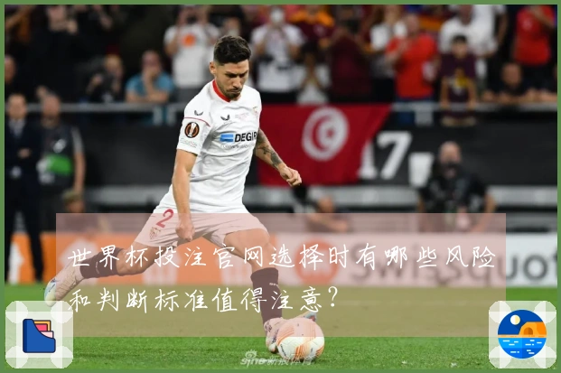 世界杯投注官网选择时有哪些风险和判断标准值得注意？