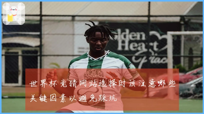 世界杯竞猜网站选择时该注意哪些关键因素以避免踩坑