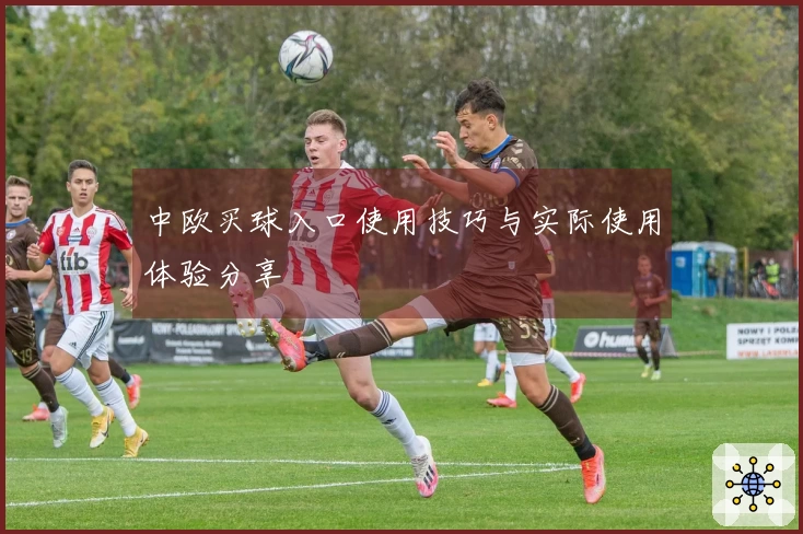 中欧买球入口使用技巧与实际使用体验分享