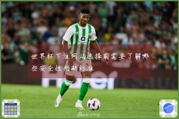 世界杯下注网站选择前需要了解哪些安全性判断标准