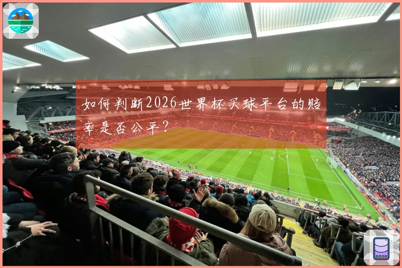 如何判断2026世界杯买球平台的赔率是否公平？