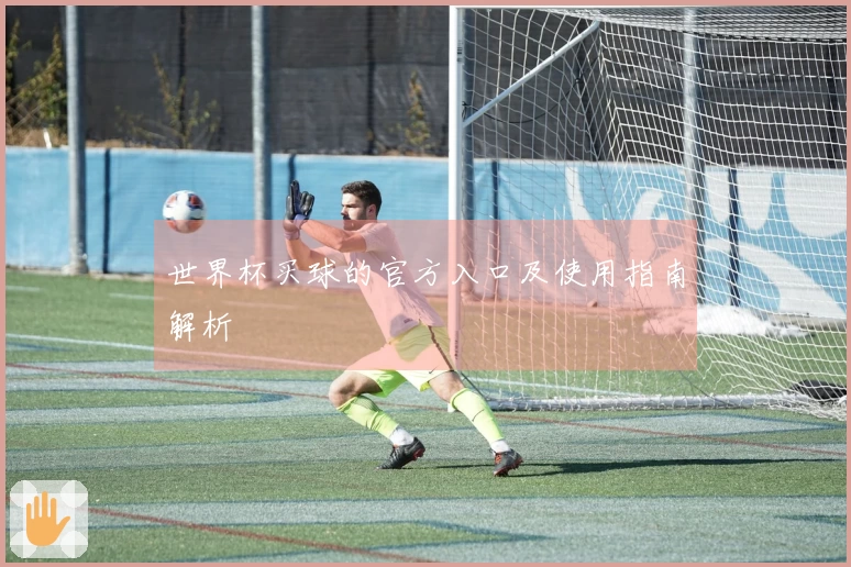 世界杯买球的官方入口及使用指南解析