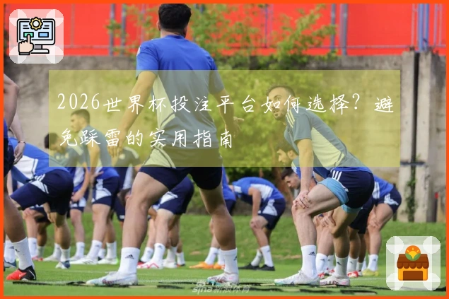 2026世界杯投注平台如何选择？避免踩雷的实用指南