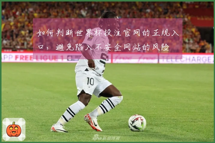 如何判断世界杯投注官网的正规入口，避免陷入不安全网站的风险