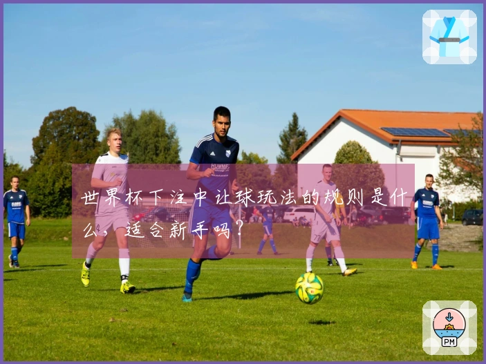 世界杯下注中让球玩法的规则是什么，适合新手吗？