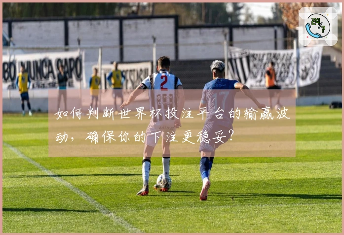如何判断世界杯投注平台的输赢波动，确保你的下注更稳妥？