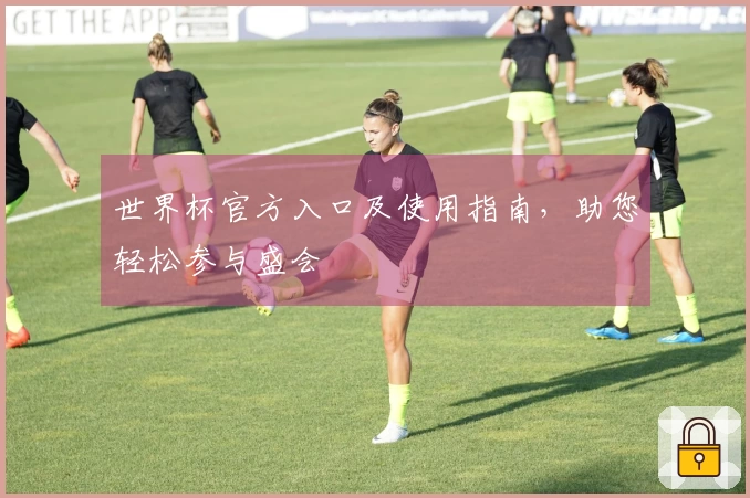 世界杯官方入口及使用指南，助您轻松参与盛会