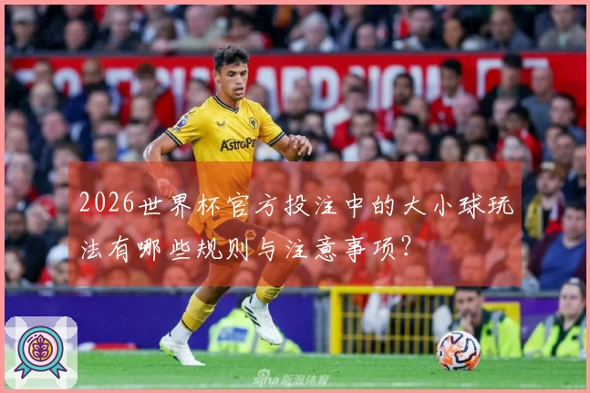 2026世界杯官方投注中的大小球玩法有哪些规则与注意事项？