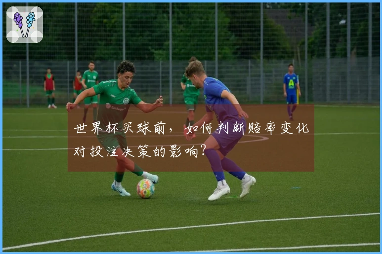 世界杯买球前，如何判断赔率变化对投注决策的影响？